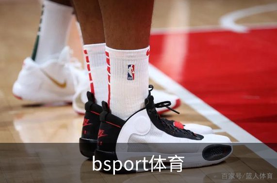 关于bsport体育